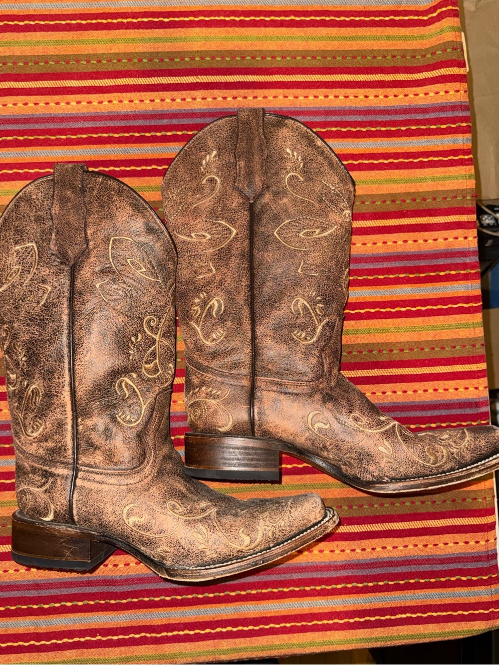 brown leather and wood embroidered Circle G cowgirl boots with dragonfly's